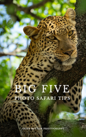 Big Five Photo Safari tips Jan 2025